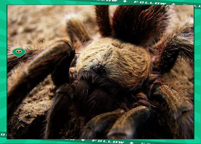 YABO-莱万多夫斯基赛事官方发布比分优势明显新规，湖人争议不断！的简单介绍